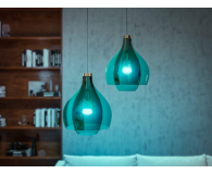 Philips Hue White and color ambiance Smart Żarówka E27 1100lm - 709616 - zdjęcie 4